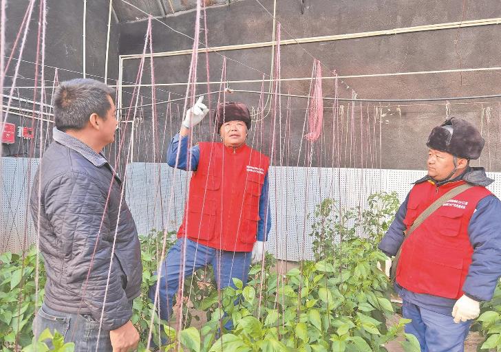 青海循化撒拉族自治縣大棚變智能，果蔬產(chǎn)量增