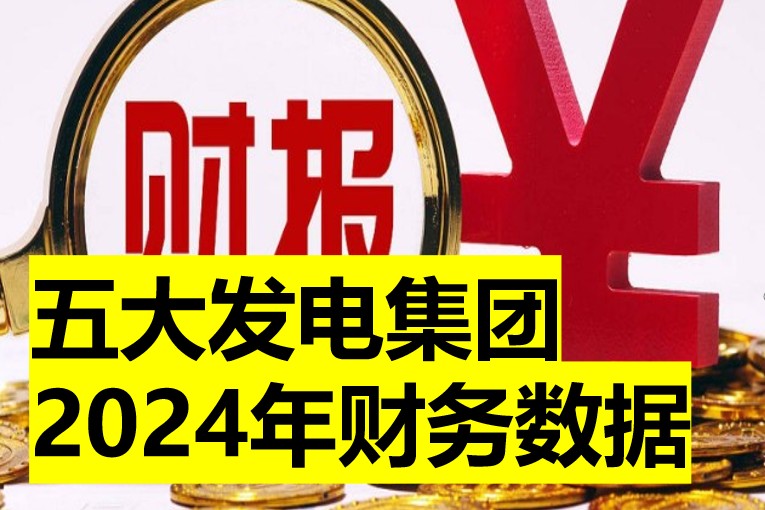 五大發(fā)電集團(tuán)2024年財(cái)務(wù)數(shù)據(jù)