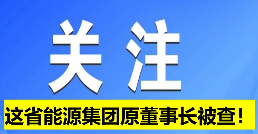 這省能源集團原董事長被查！