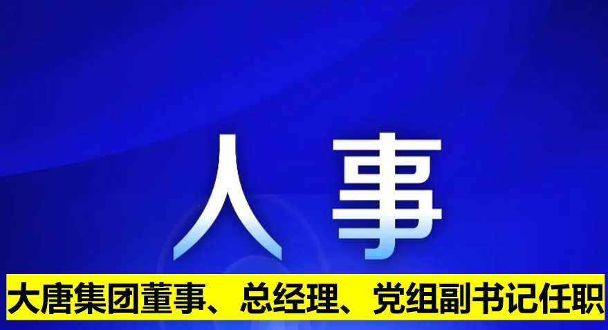 大唐集團董事、總經(jīng)理、黨組副書記任職